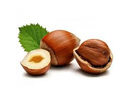 HAZELNUT KERNELS(100g)